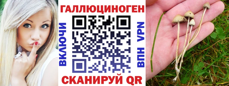 Галлюциногенные грибы MAGIC MUSHROOMS  наркотики  Мичуринск 