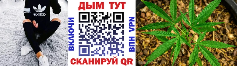площадка официальный сайт  ОМГ ОМГ ТОР  Канабис планчик  Мичуринск  дарнет шоп 